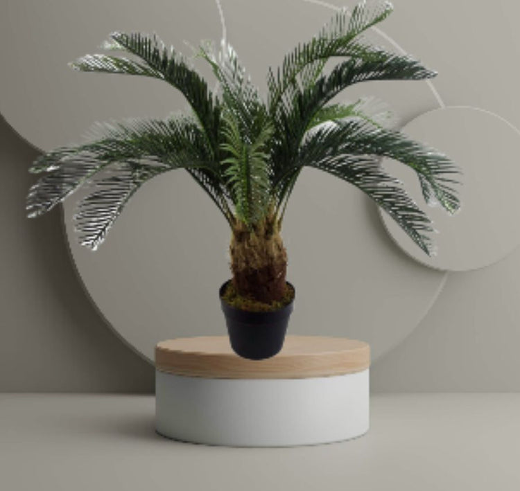 Cycas Kunstpalmboom
