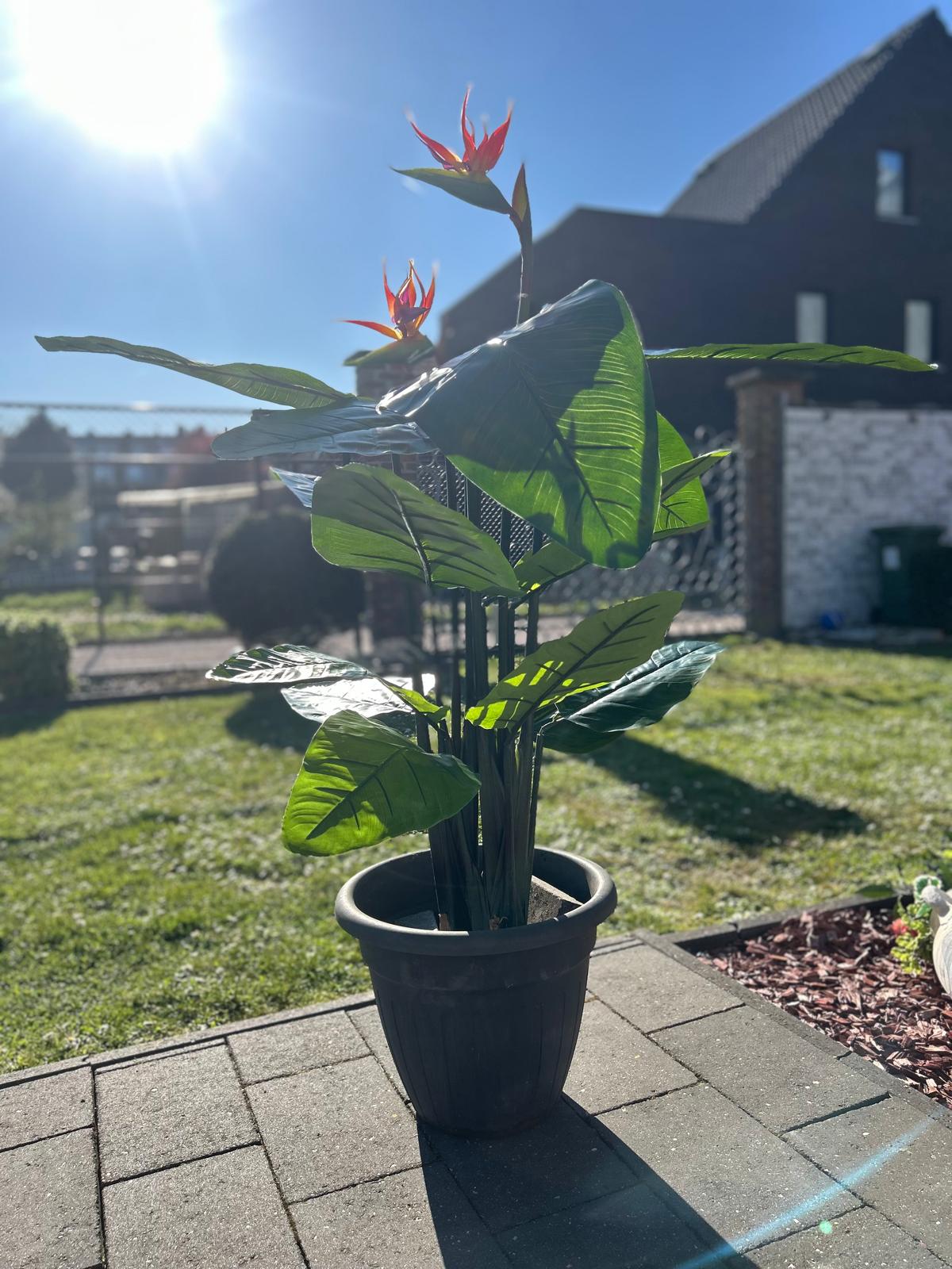 Tropische strelitzia - paradijsvogelplant 120cm - kunstplant!