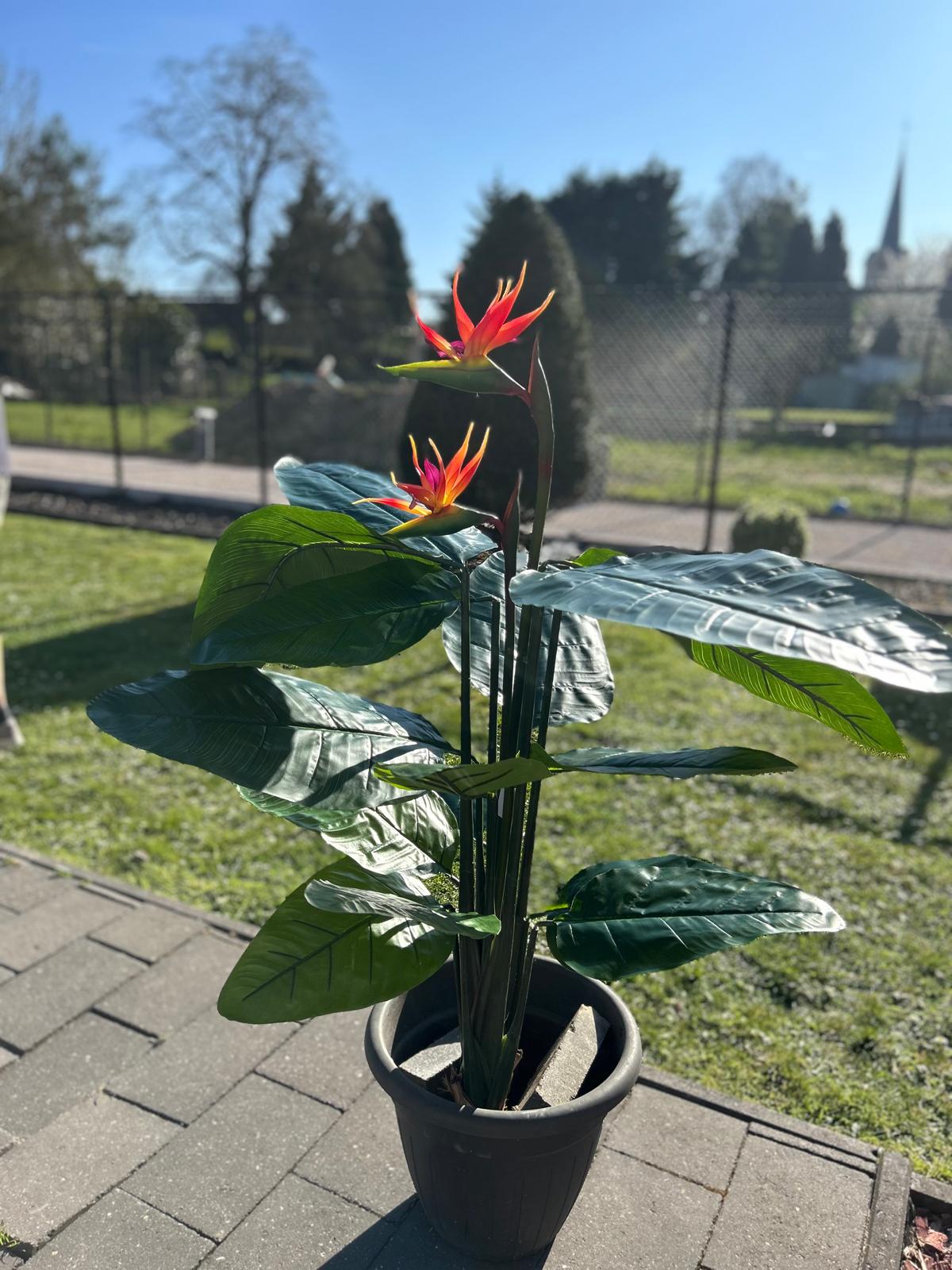 Tropische strelitzia - paradijsvogelplant 120cm - kunstplant!