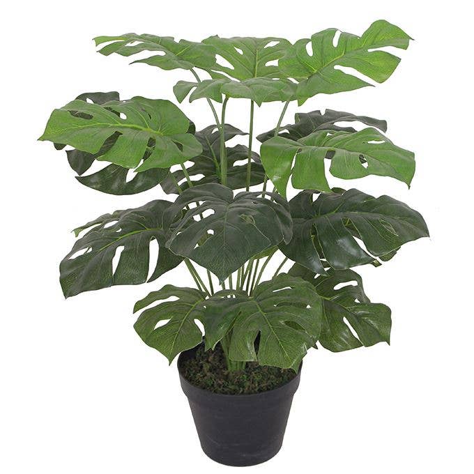 Monstera Kunstplant - Kaasplant 60cm - Een tropisch effect in elk interieur.