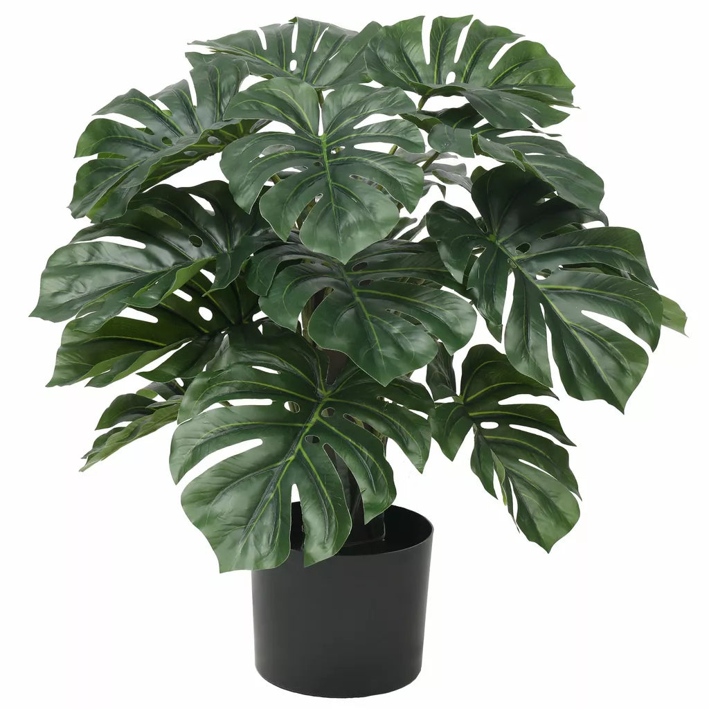 Monstera Kunstplant - Kaasplant 60cm - Realistische bladeren met kenmerkende insnijdingen.