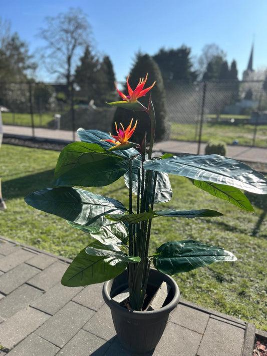 Tropische strelitzia - paradijsvogelplant 120cm - kunstplant!