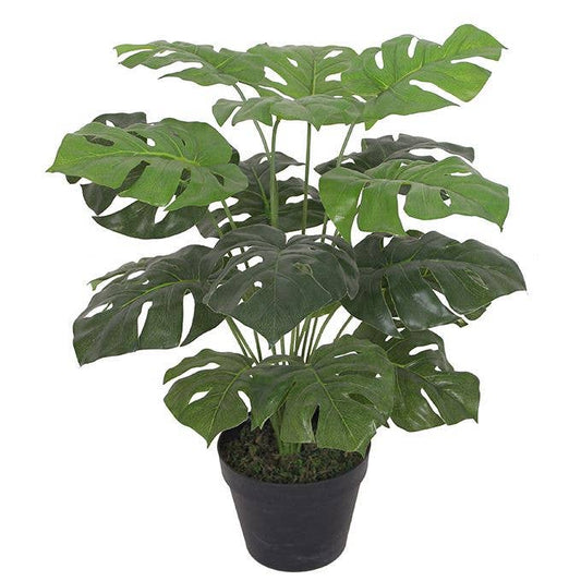 Monstera Kunstplant - Kaasplant 60cm - Een tropisch effect in elk interieur.